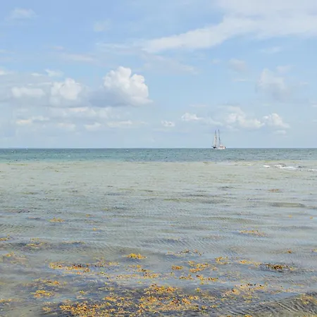 Vakantiehuis 12 Bedroom In Haderslev